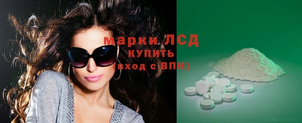 мдпв Тайга