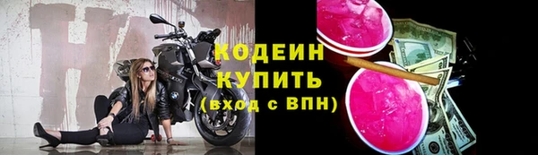 трава Тавда