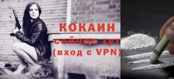 мдпв Тайга