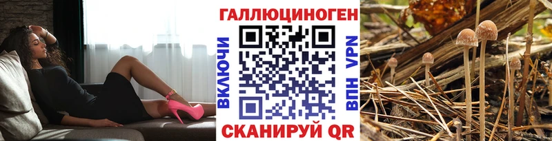 KRAKEN рабочий сайт  Динская  Псилоцибиновые грибы MAGIC MUSHROOMS  даркнет сайт 